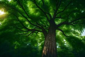 une grand arbre dans le milieu de une forêt. généré par ai photo