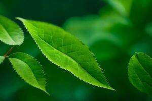 une proche en haut de vert feuilles sur une arbre. généré par ai photo