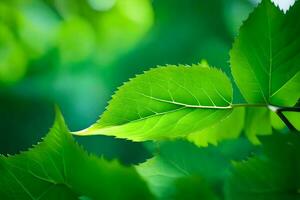 vert feuilles sur une arbre. généré par ai photo