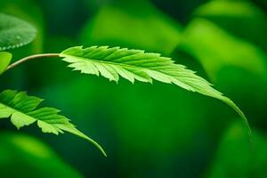 une proche en haut de une vert feuille sur une plante. généré par ai photo