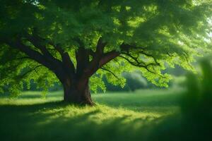 photo fond d'écran le ciel, herbe, des arbres, le soleil, le herbe, le arbre, le. généré par ai