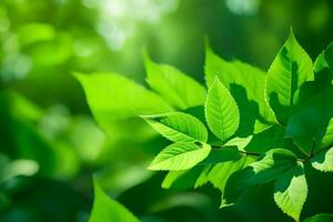 vert feuilles sur une arbre dans le lumière du soleil. généré par ai photo