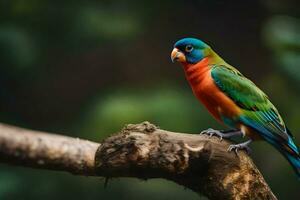 une coloré oiseau est assis sur une branche. généré par ai photo