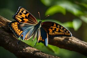 une papillon avec noir et Orange ailes est séance sur une branche. généré par ai photo