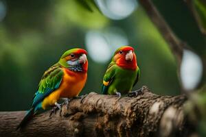 deux coloré des oiseaux séance sur une branche. généré par ai photo