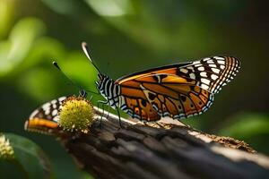 une papillon est séance sur une branche avec une fleur. généré par ai photo