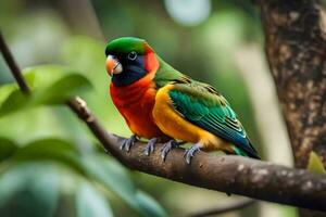 une coloré oiseau est assis sur une branche. généré par ai photo