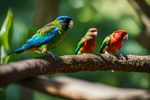 Trois coloré des oiseaux séance sur une branche. généré par ai photo