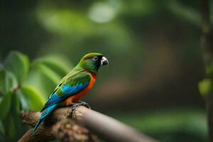 une coloré perroquet est assis sur une branche. généré par ai photo