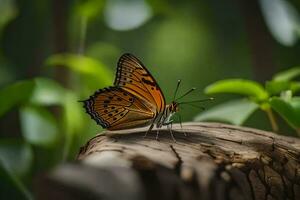 papillon, le forêt, nature, le vert, le vert, nature, le vert. généré par ai photo