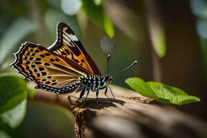 une papillon est séance sur une branche dans le Soleil. généré par ai photo