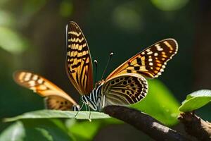 deux papillons sont séance sur une branche. généré par ai photo