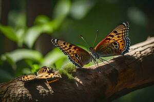 deux papillons sont séance sur une branche. généré par ai photo