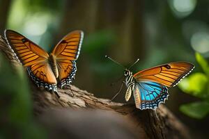 deux papillons sont séance sur une arbre branche. généré par ai photo