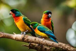 Trois coloré des oiseaux séance sur une branche. généré par ai photo