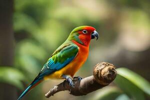 une coloré oiseau est assis sur une branche. généré par ai photo