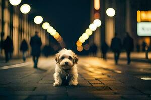 une chien permanent dans le milieu de une ville rue à nuit. généré par ai photo