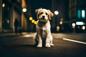 une chien séance sur le rue à nuit. généré par ai photo