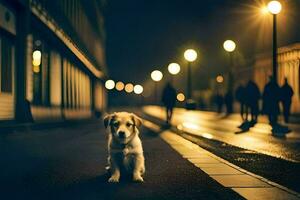 une chien séance sur le rue à nuit. généré par ai photo