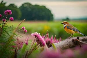 une oiseau est séance sur une branche dans une champ. généré par ai photo