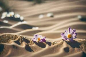 deux violet fleurs croissance en dehors de le le sable dans le désert. généré par ai photo