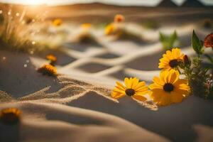photo fond d'écran sable, fleurs, le désert, le soleil, le désert, fleurs, le désert. généré par ai