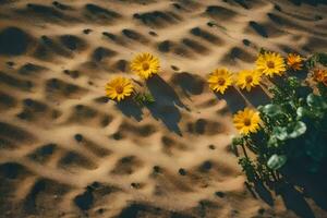 Jaune fleurs dans le désert. généré par ai photo