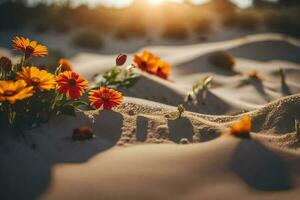 le Soleil est réglage plus de le le sable dunes dans le désert. généré par ai photo