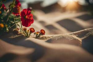 rouge fleurs dans le le sable à le coucher du soleil. généré par ai photo