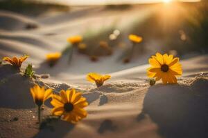 photo fond d'écran le soleil, sable, fleurs, le plage, le sable, fleurs, le plage. généré par ai