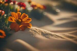 fleurs dans le sable, fleurs, fleurs dans le sable, fleurs dans le sable, fleurs. généré par ai photo