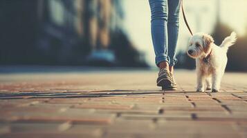 une femme avec une chien sur une laisse des promenades vers le bas le rue. génératif ai photo