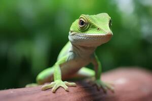 mignonne anole dans la nature large la vie animaux. ai généré. photo