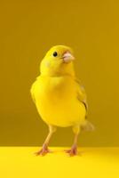 très mignonne canari dans la nature large la vie animaux. ai généré. photo