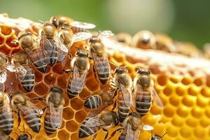 mon chéri les abeilles sur nid d'abeille dans rucher dans heure d'été, mon chéri les abeilles communiquer avec chaque autre, ai génératif photo