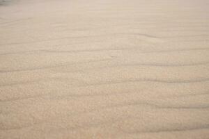 le mer le sable après le vent. le sable modèle. Contexte pour citations photo