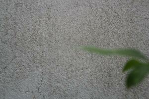 Vide ciment mur surface avec flou vert feuilles, le sable ciment mur Contexte avec vert feuille photo