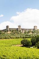 vignoble en toscane photo