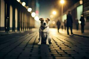 une chien séance sur le rue à nuit. généré par ai photo