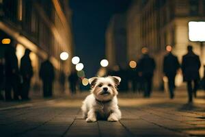 une petit chien séance sur le sol dans une ville à nuit. généré par ai photo