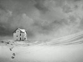 seul dans la neige noir et blanc photo