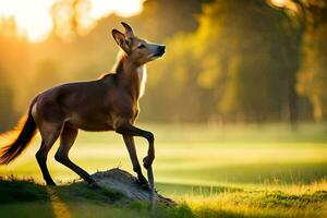 une cerf des stands sur une Roche dans le milieu de une champ. généré par ai photo