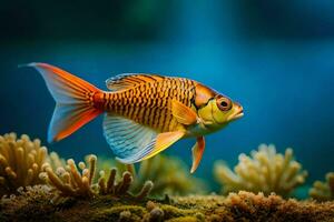 une poisson nager dans un aquarium avec corail. généré par ai photo