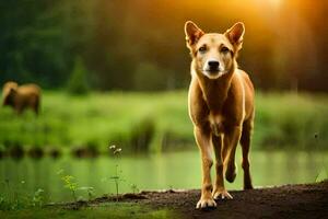 une chien en marchant le long de une chemin près une étang. généré par ai photo