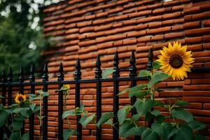 une tournesol est croissance dans de face de une brique mur. généré par ai photo