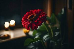 une rouge fleur dans de face de bougies. généré par ai photo