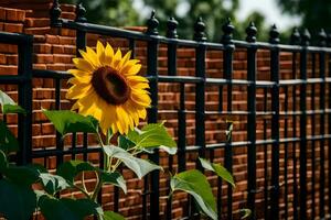 une tournesol est croissance dans de face de une noir clôture. généré par ai photo