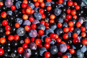 médecine alternative avec des herbes pharmaceutiques fruits et baies photo