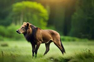 une Lion est permanent dans le herbe. généré par ai photo