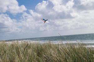 à la plage de blavand ho danemark photo